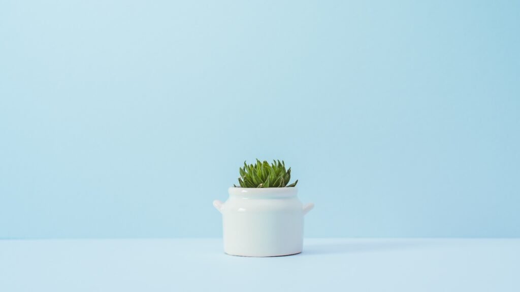 Stop Black Friday from Creeping into Thanksgiving!